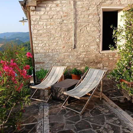 Agriturismo Del Frontino - Lo Studio Acqualagna Exterior photo