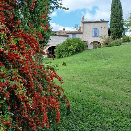 Agriturismo Del Frontino - Lo Studio Acqualagna Exterior photo