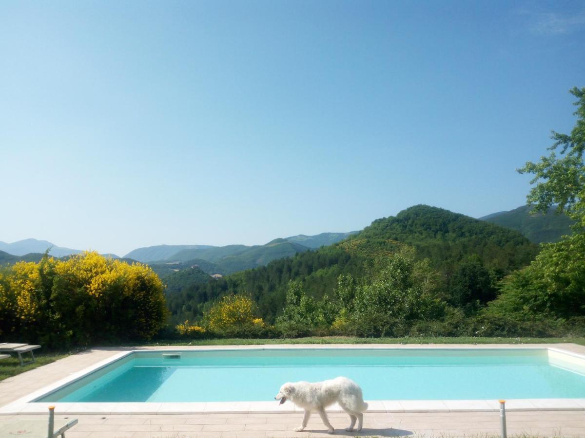 Agriturismo Del Frontino - Lo Studio Acqualagna Exterior photo