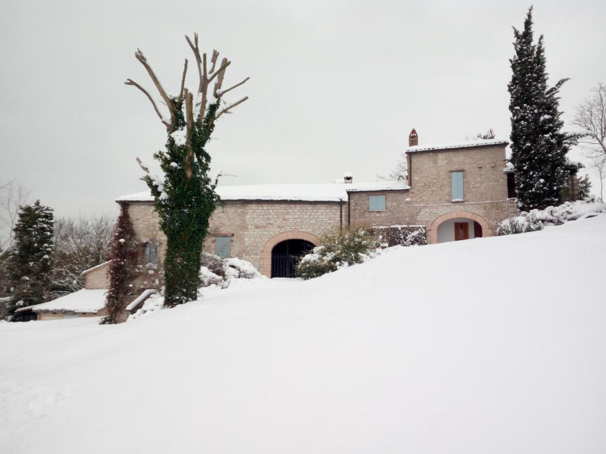 Agriturismo Del Frontino - Lo Studio Acqualagna Exterior photo