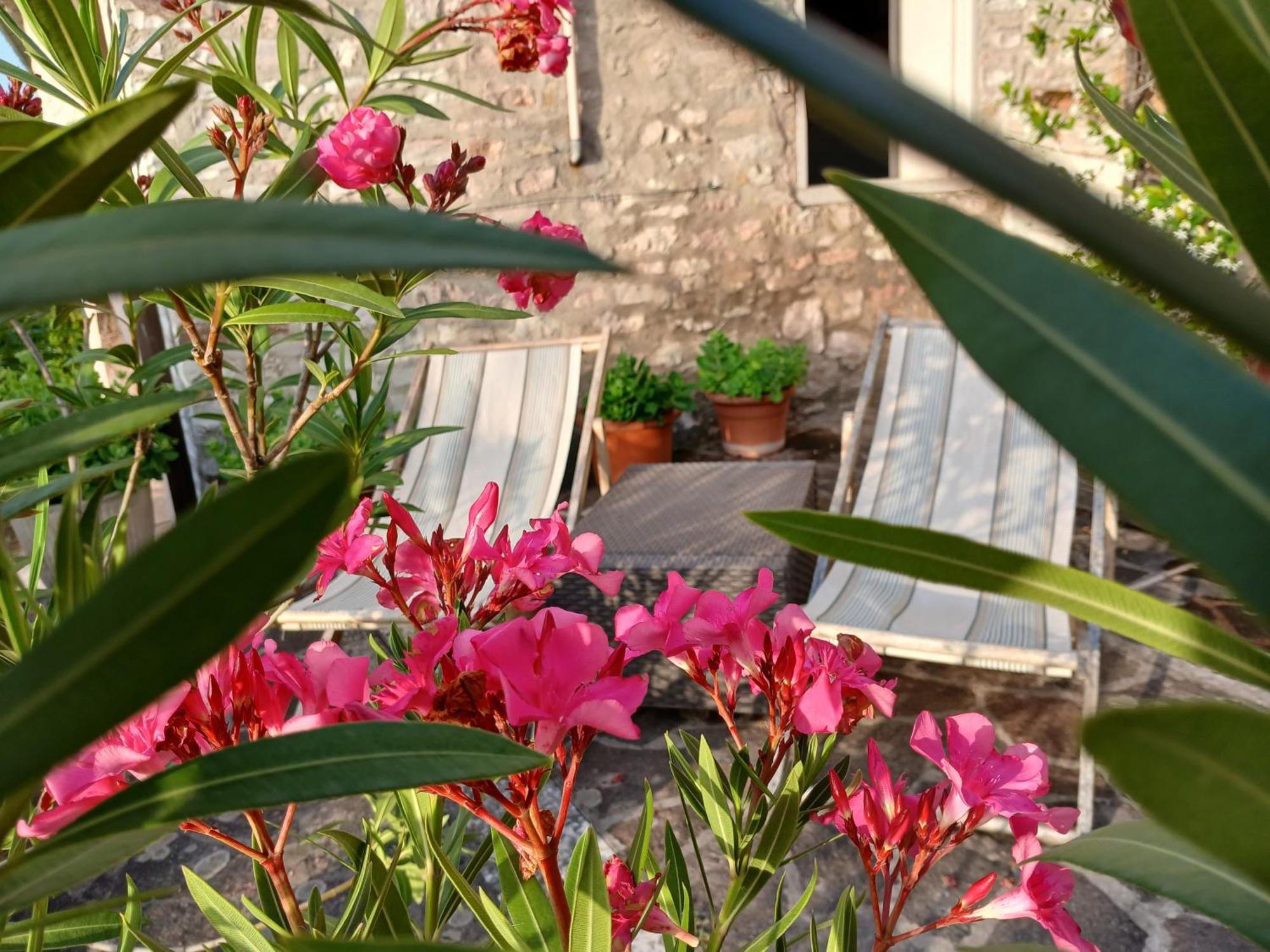 Agriturismo Del Frontino - Lo Studio Acqualagna Exterior photo