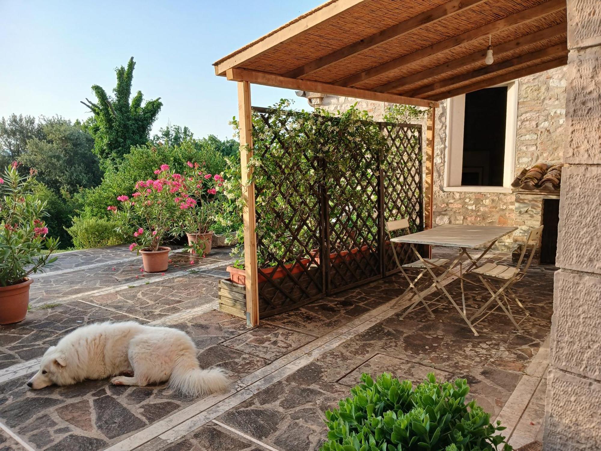 Agriturismo Del Frontino - Lo Studio Acqualagna Exterior photo